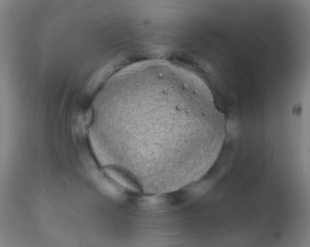 X0000110960286200907022228