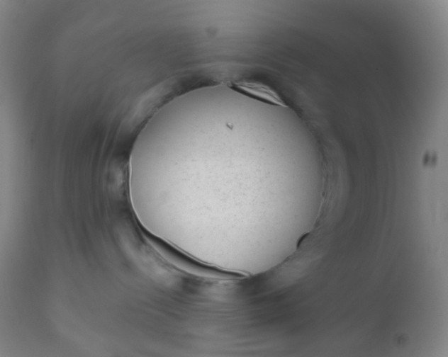 X0000110960288200907022228