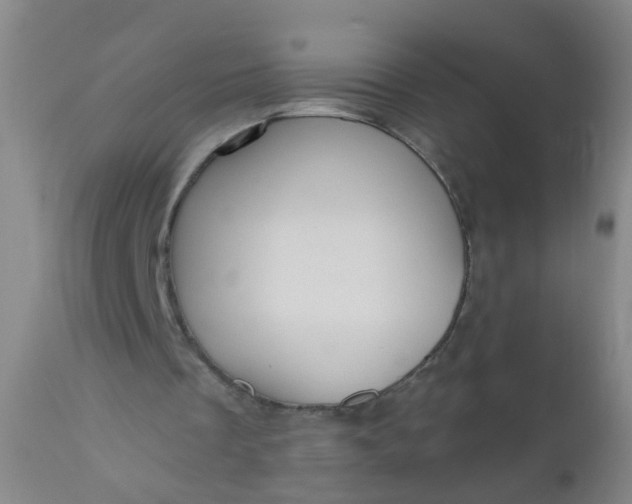 X0000110960289200907022227