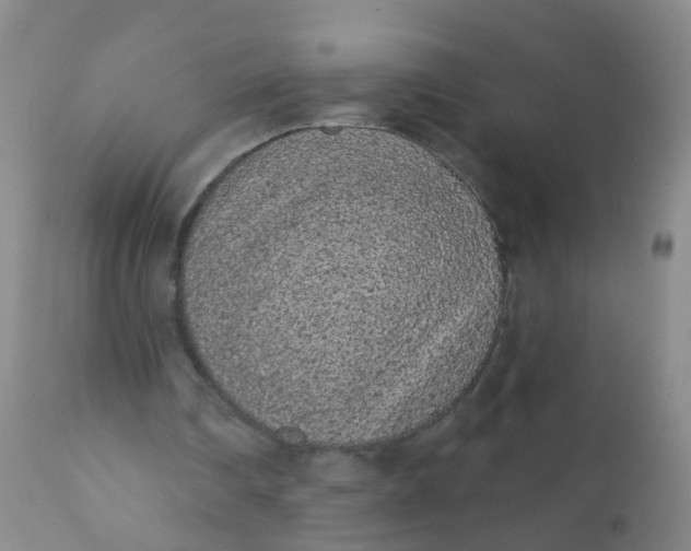 X0000110960290200907022227