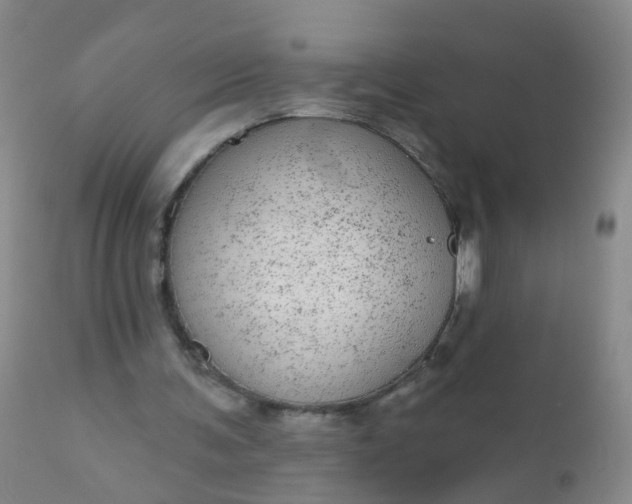 X0000110960291200907022227