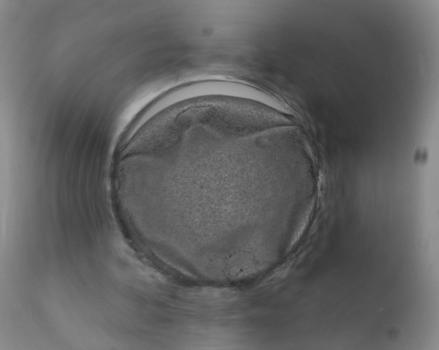 X0000110960292200907022227