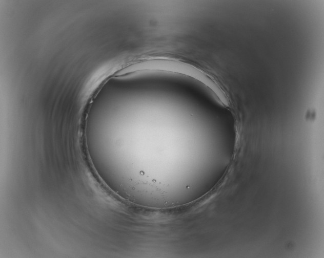 X0000110960293200907022227