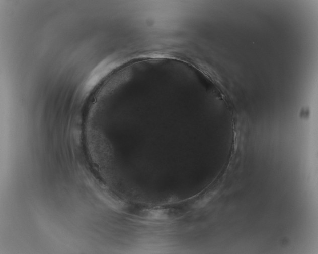 X0000110960295200907022227