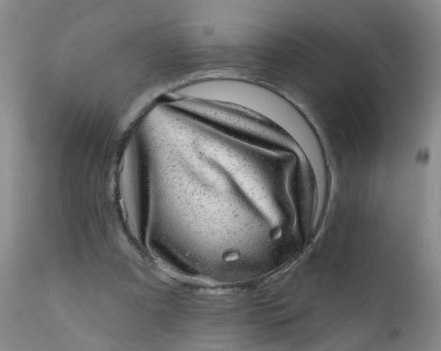 X0000110960297200907022227