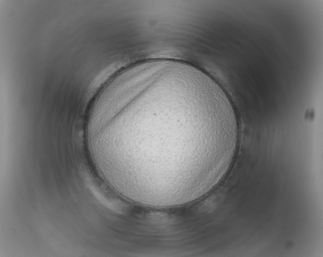 X0000110960298200907022227