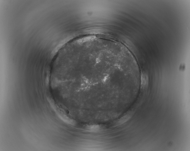 X0000110960301200907022227