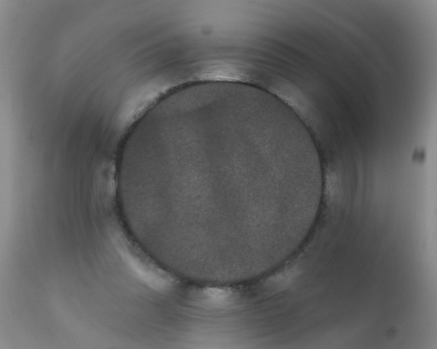 X0000110960302200907022227