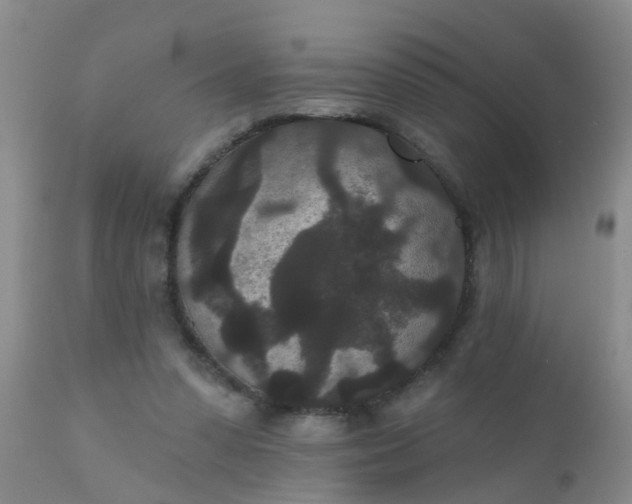 X0000110960303200907022227