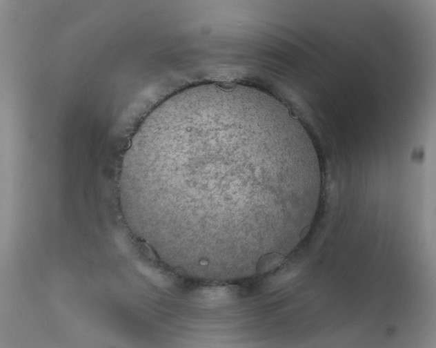 X0000110960307200907022227