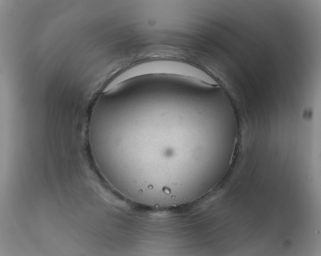 X0000110960309200907022227