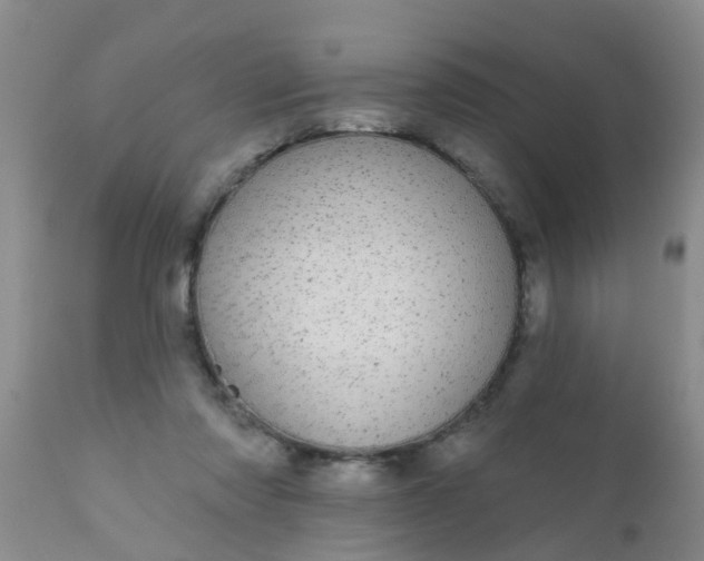 X0000110960310200907022227