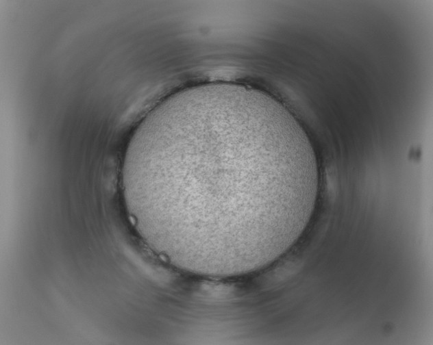 X0000110960311200907022227