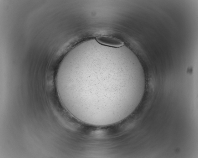 X0000110960312200907022227