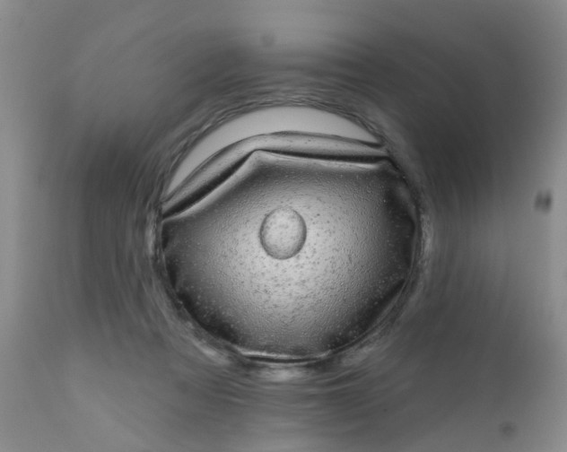 X0000110960313200907022227