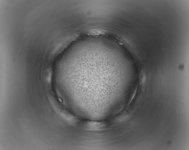 X0000110960315200907022227