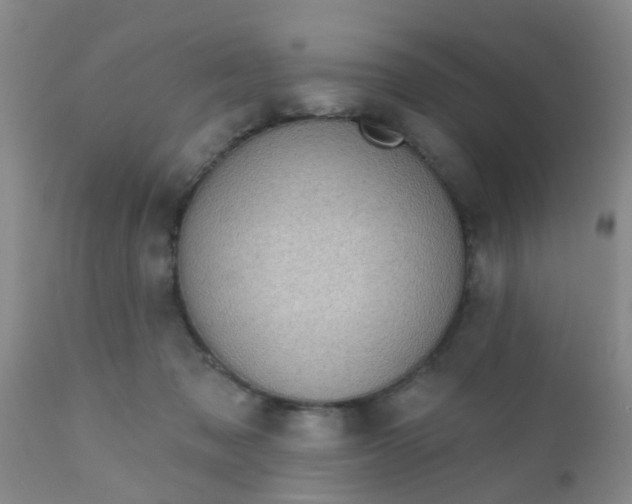 X0000110960317200907022227