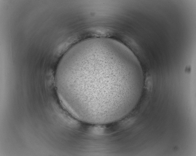 X0000110960318200907022227