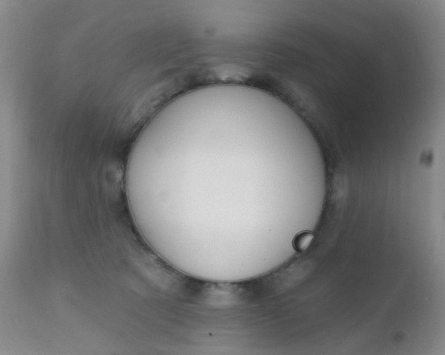 X0000110960321200907022227