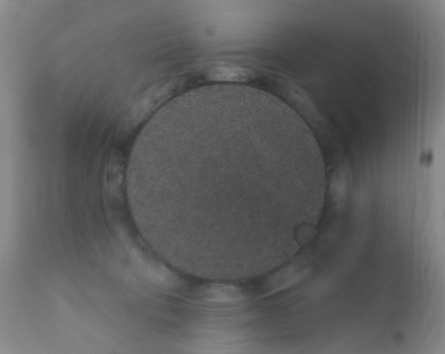 X0000110960322200907022227