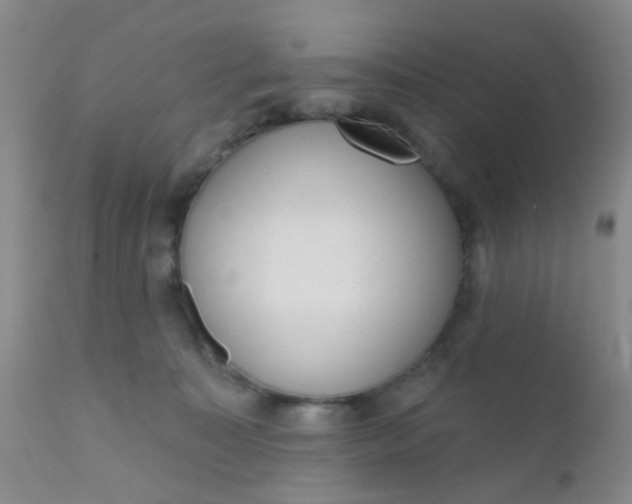 X0000110960323200907022227