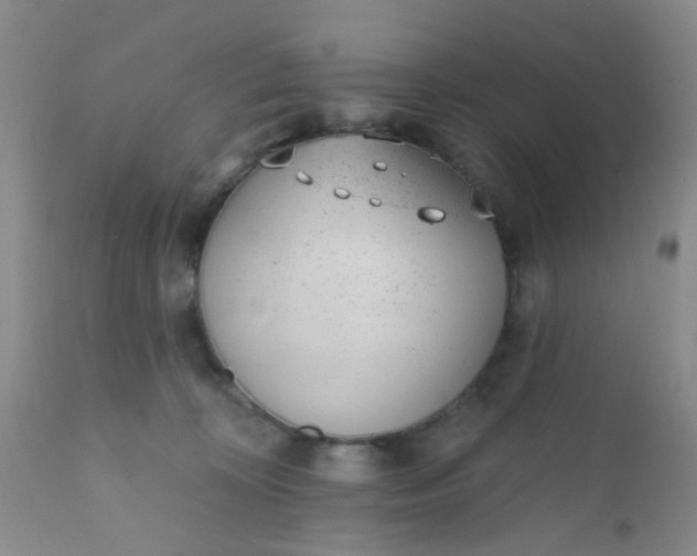 X0000110960324200907022227