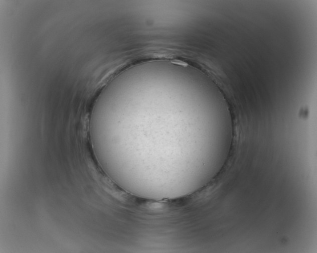 X0000110960325200907022227