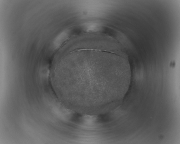 X0000110960328200907022227