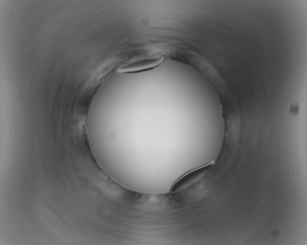 X0000110960329200907022227