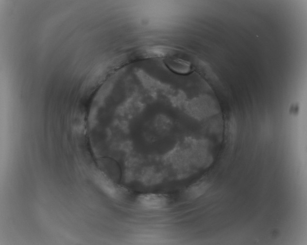 X0000110960331200907022227