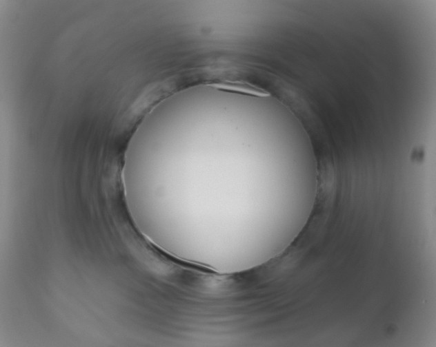 X0000110960333200907022227