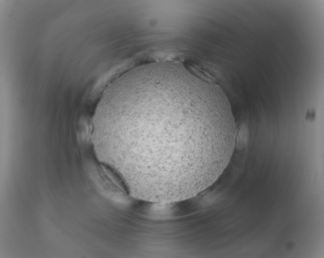 X0000110960335200907022227