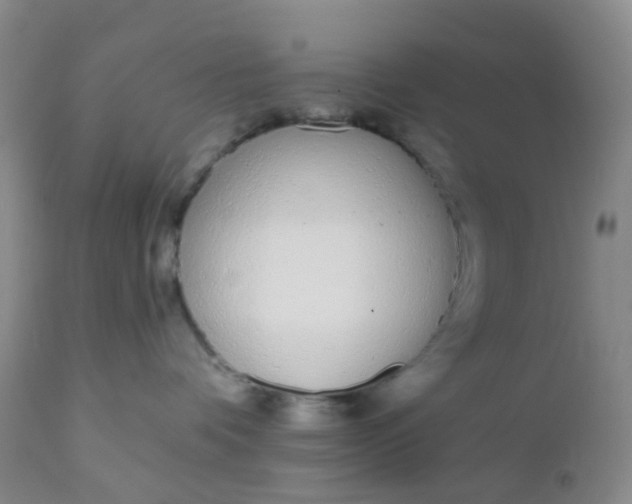 X0000110960336200907022227