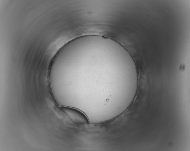 X0000110960338200907022226