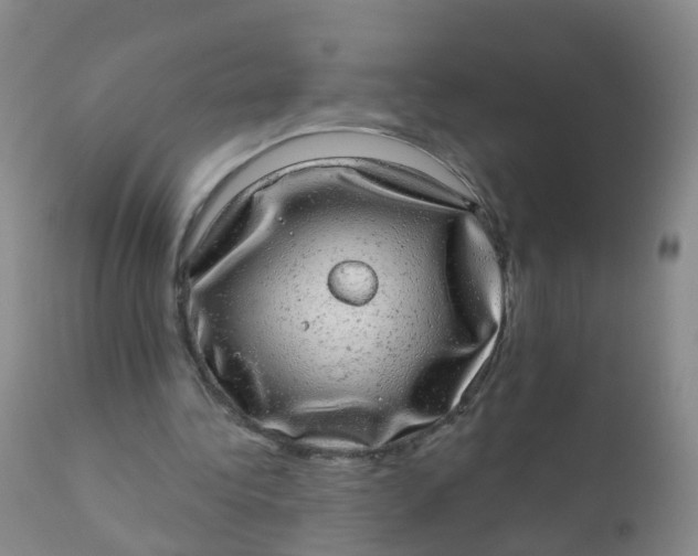 X0000110960340200907022226