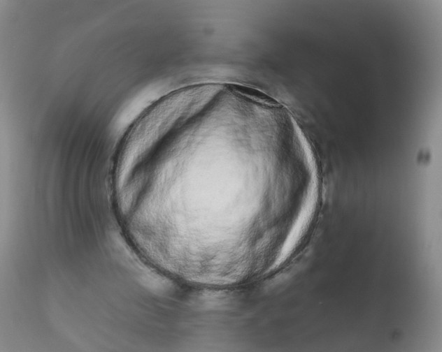 X0000110960341200907022226