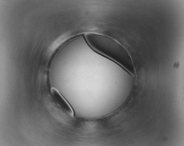 X0000110960344200907022226