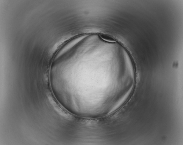 X0000110960345200907022226