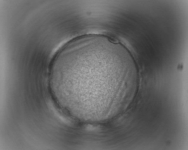 X0000110960346200907022226