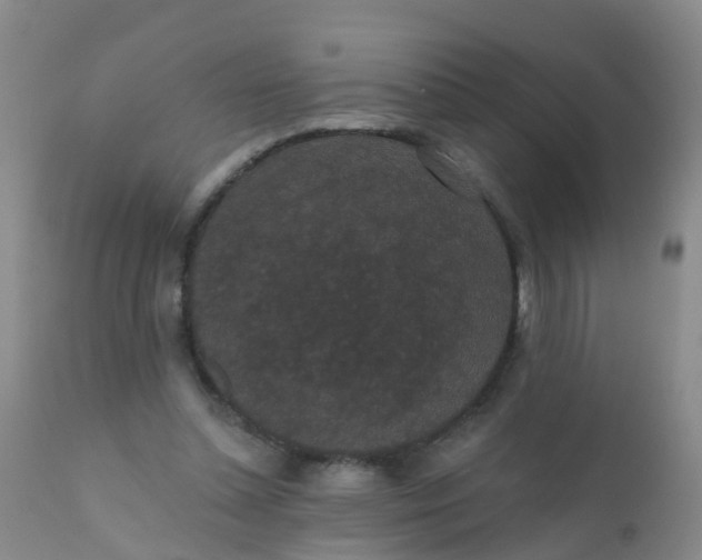 X0000110960348200907022226