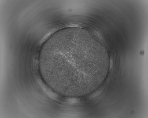 X0000110960349200907022226