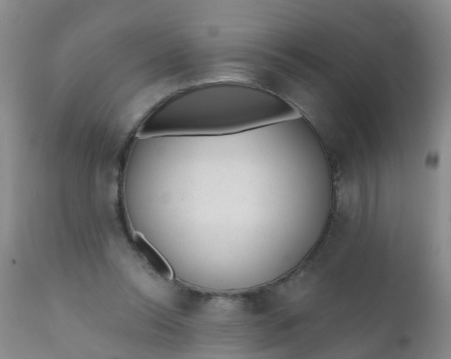 X0000110960350200907022226