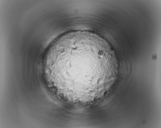 X0000110960351200907022226