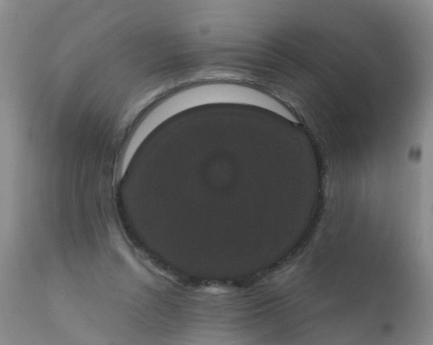 X0000110960352200907022226