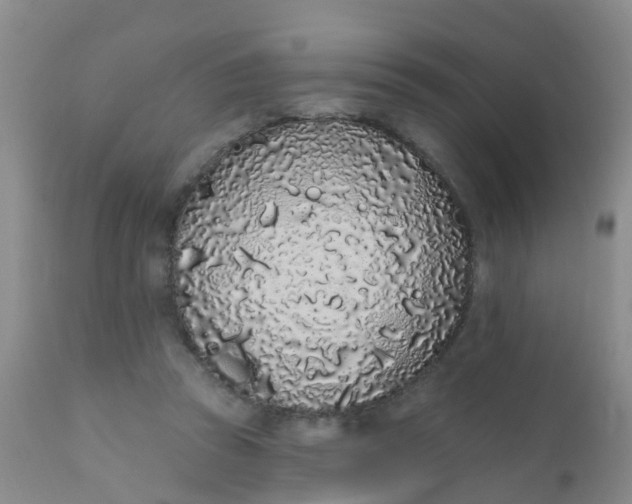 X0000110960353200907022226