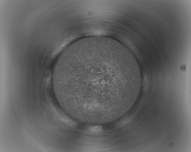 X0000110960355200907022226