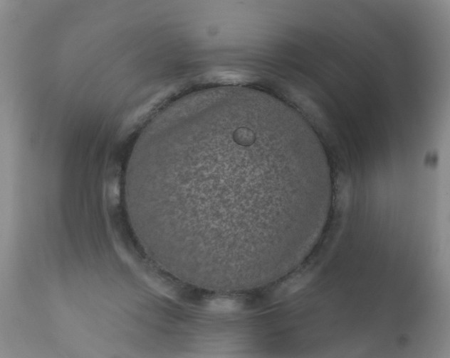 X0000110960358200907022226