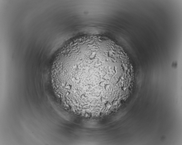 X0000110960359200907022226