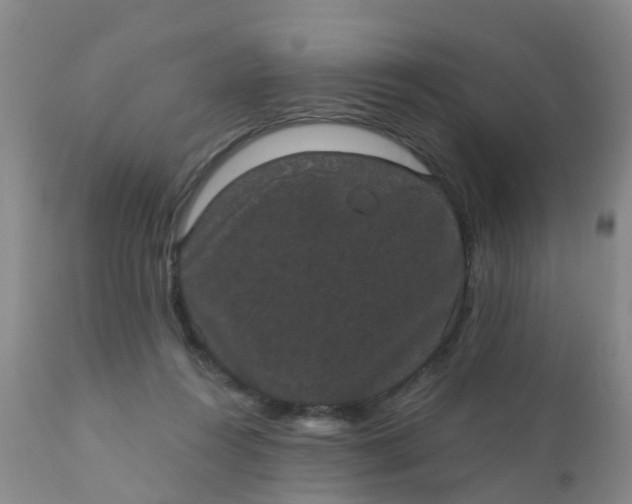 X0000110960360200907022226