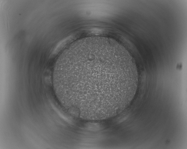 X0000110960361200907022226